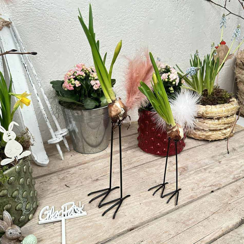 Lökfötter / Kycklingfötter, 2 par, 15-20 cm 